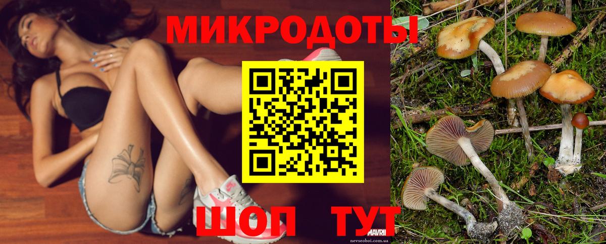 Галлюциногенные грибы Psilocybine cubensis Полевской